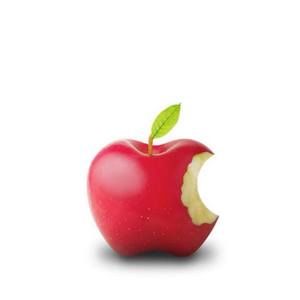 Meet your Posher, Sal